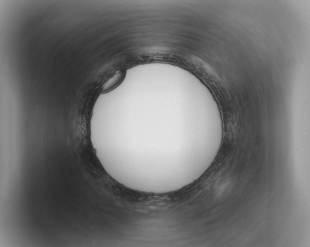 X0000101691062200807311407