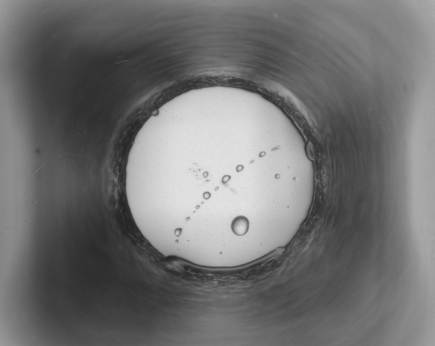 X0000101691064200807311407