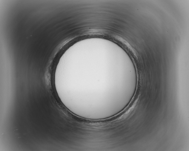 X0000101691066200807311407