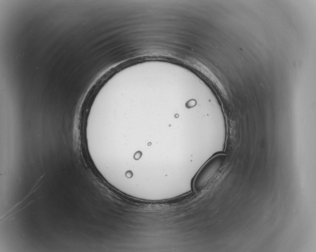 X0000101691068200807311407