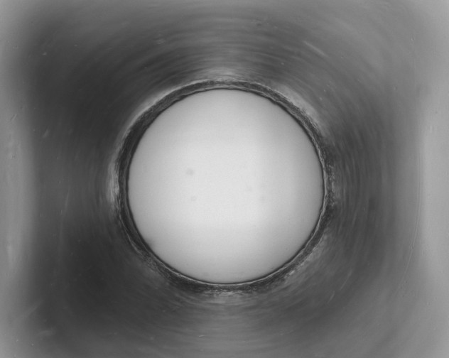 X0000101691070200807311407