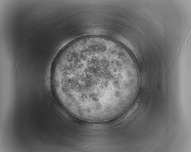 X0000101691071200807311407