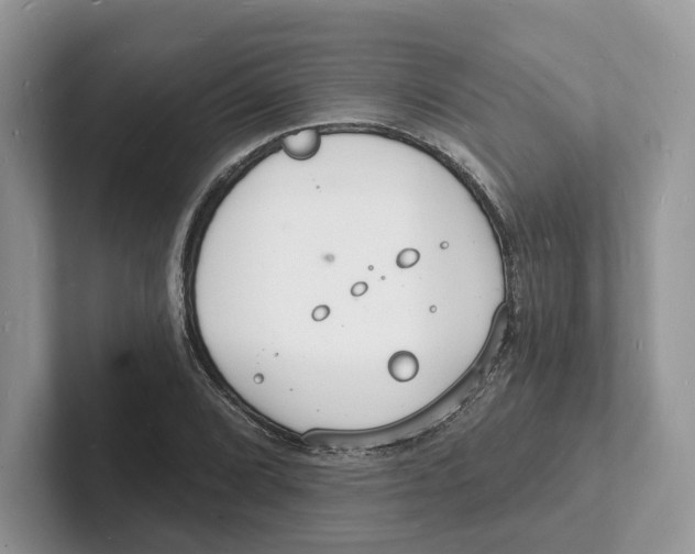 X0000101691072200807311407