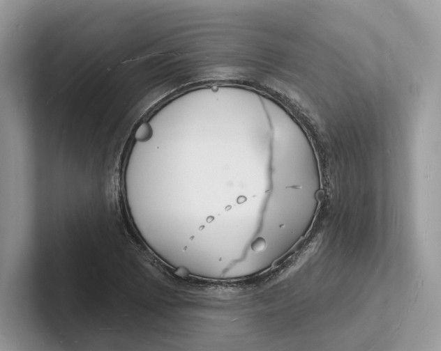 X0000101691073200807311407