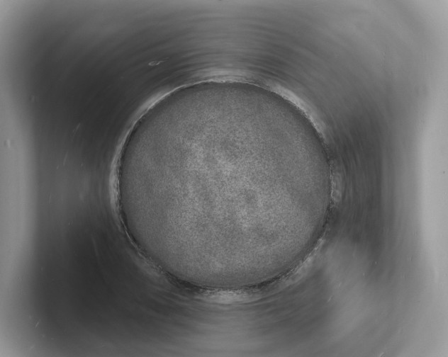 X0000101691074200807311407