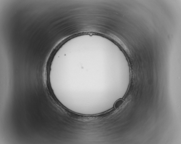 X0000101691076200807311407