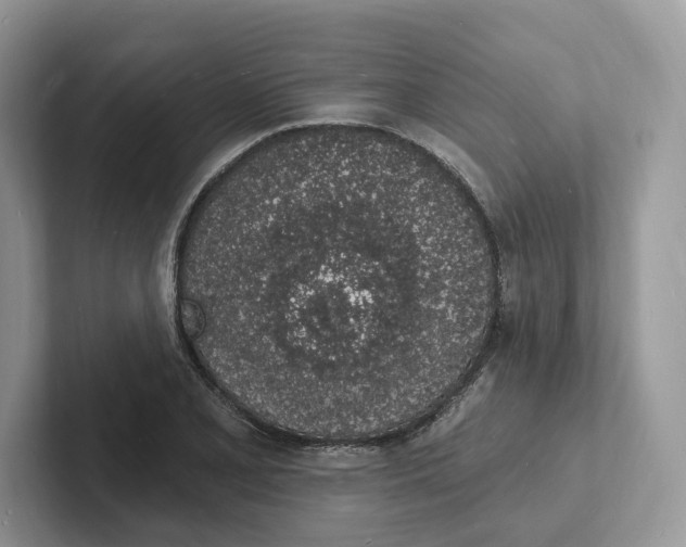 X0000101691077200807311407