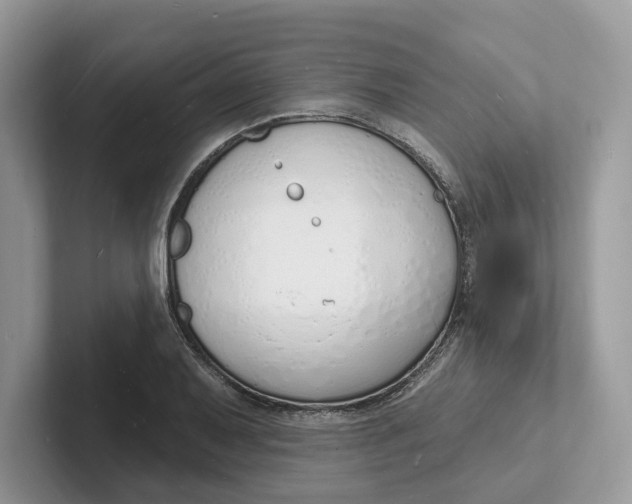 X0000101691079200807311407