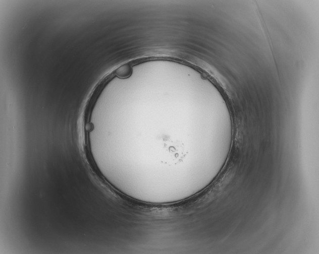 X0000101691080200807311407