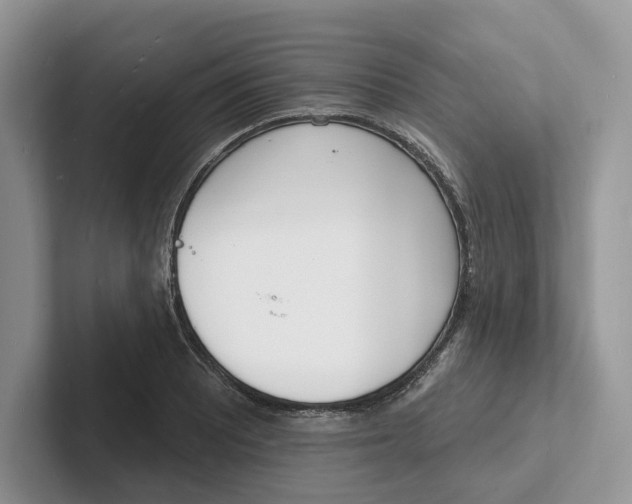 X0000101691081200807311407