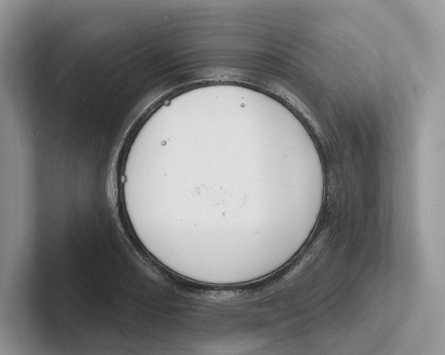 X0000101691082200807311407