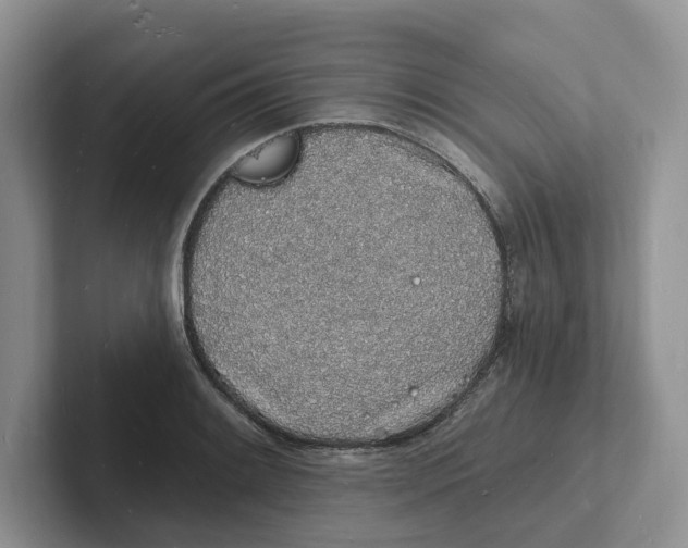 X0000101691084200807311407