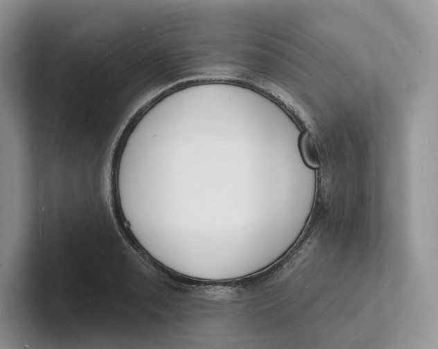 X0000101691085200807311407