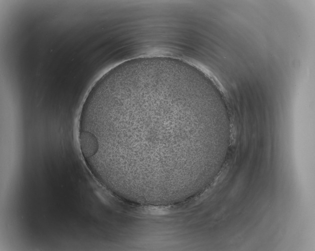 X0000101691086200807311407