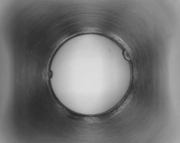 X0000101691089200807311407