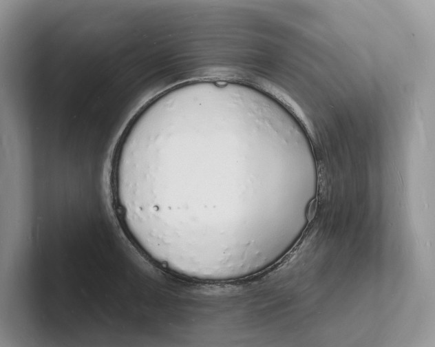 X0000101691091200807311407