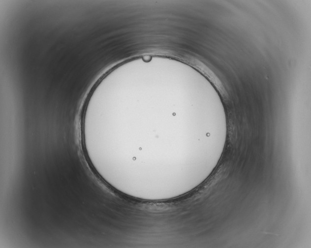 X0000101691092200807311407