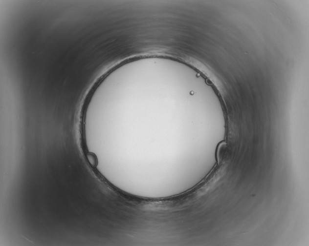 X0000101691093200807311407