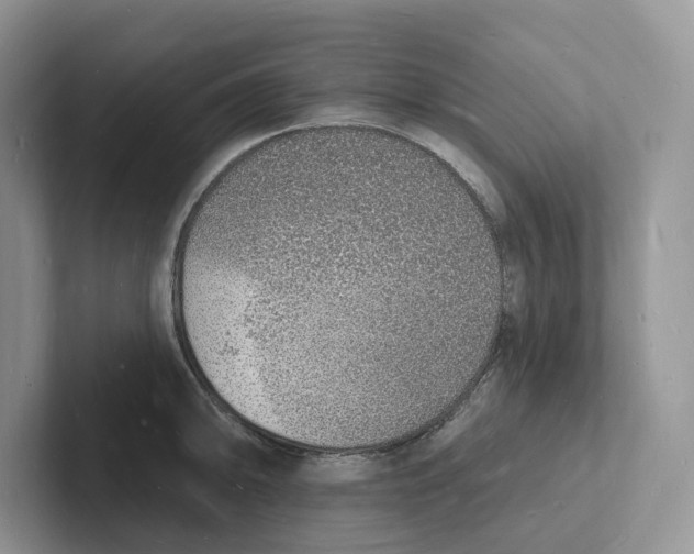 X0000101691094200807311407