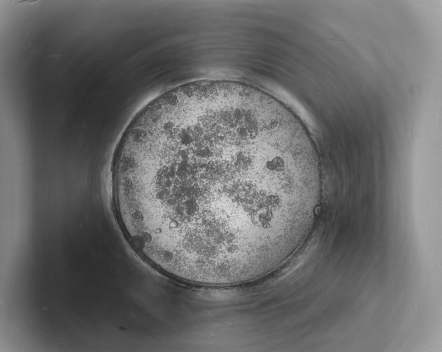 X0000101691095200807311407