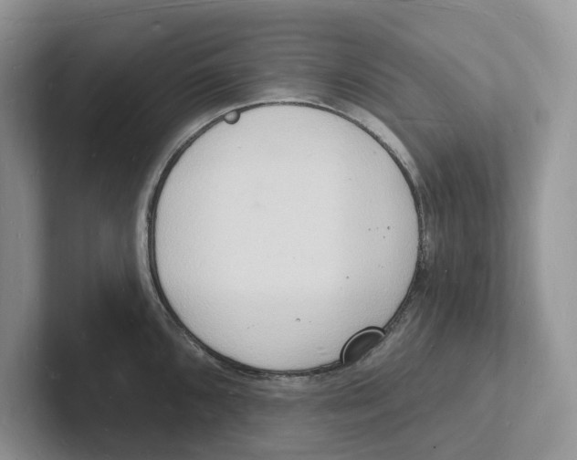 X0000101691096200807311407