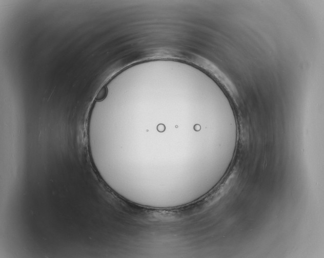 X0000101691097200807311407