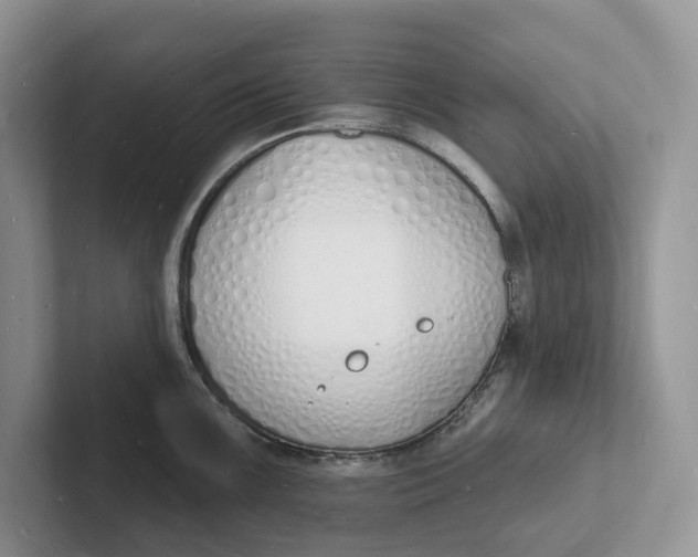 X0000101691099200807311407