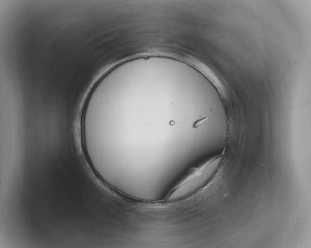 X0000101691100200807311407