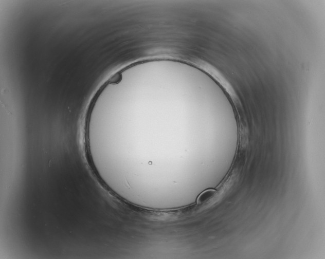 X0000101691101200807311407