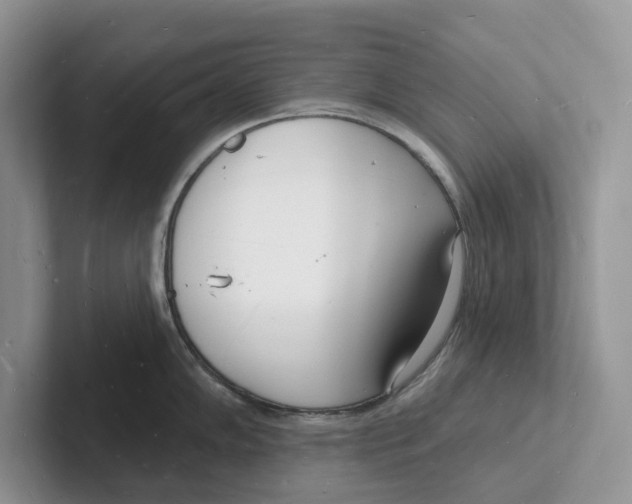 X0000101691102200807311407