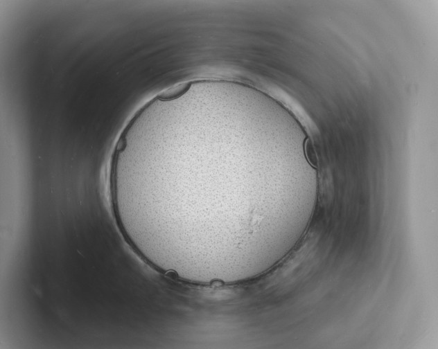 X0000101691103200807311407