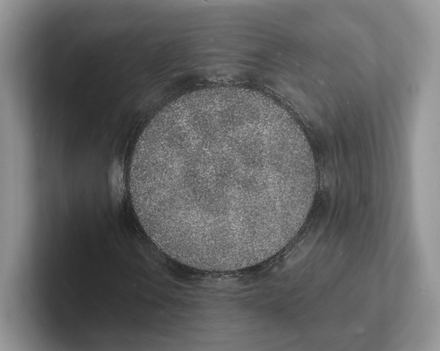 X0000101691106200807311406