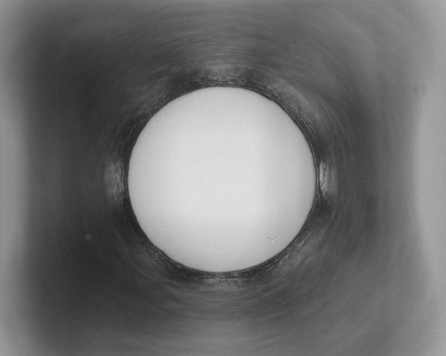 X0000101691107200807311406