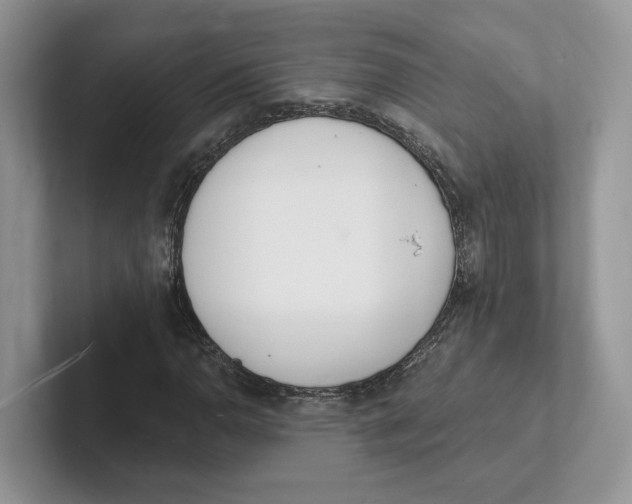 X0000101691110200807311406