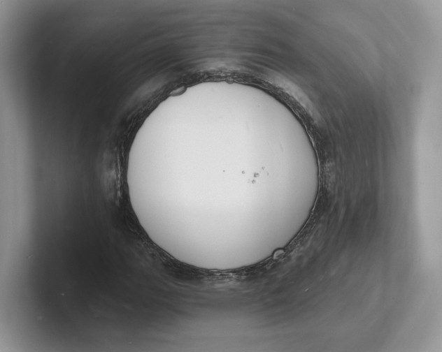 X0000101691111200807311406