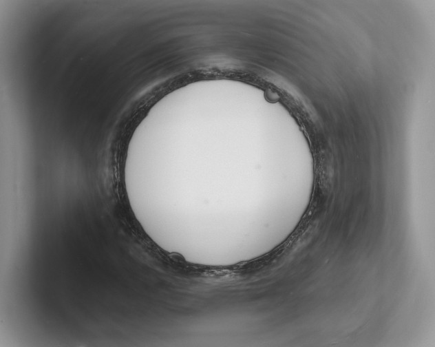 X0000101691112200807311406