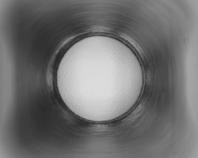 X0000101691115200807311406