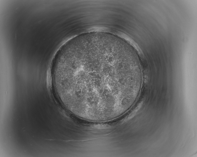 X0000101691117200807311406