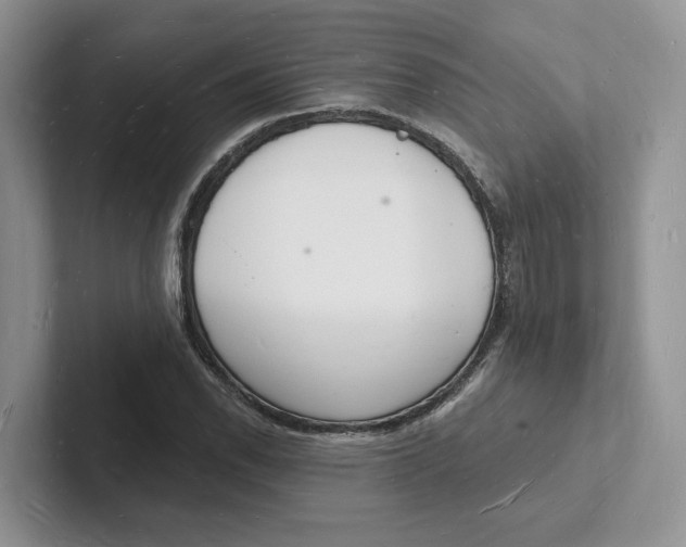 X0000101691118200807311406