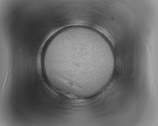 X0000101691120200807311406