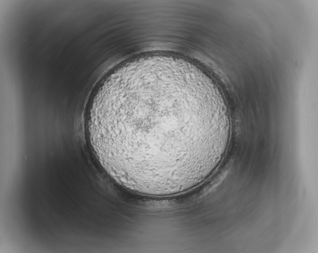 X0000101691121200807311406