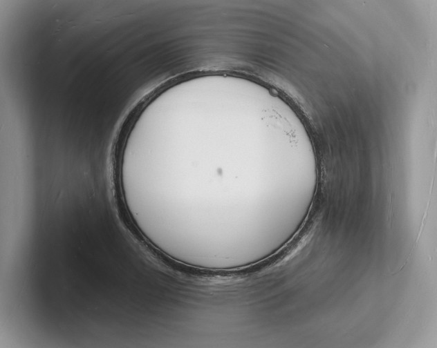 X0000101691122200807311406