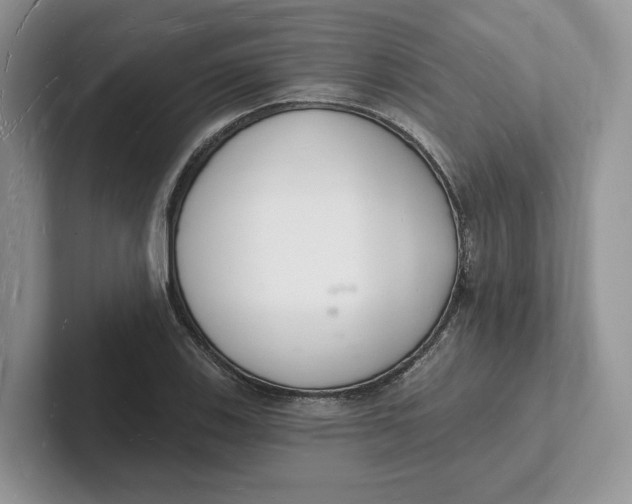 X0000101691123200807311406