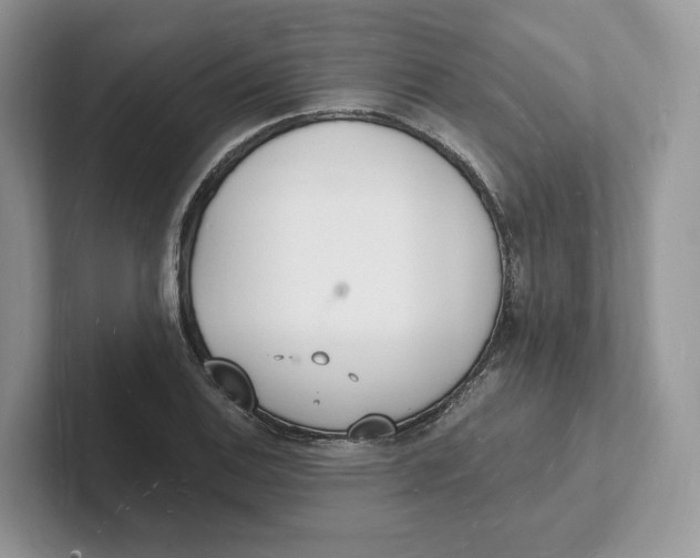 X0000101691124200807311406