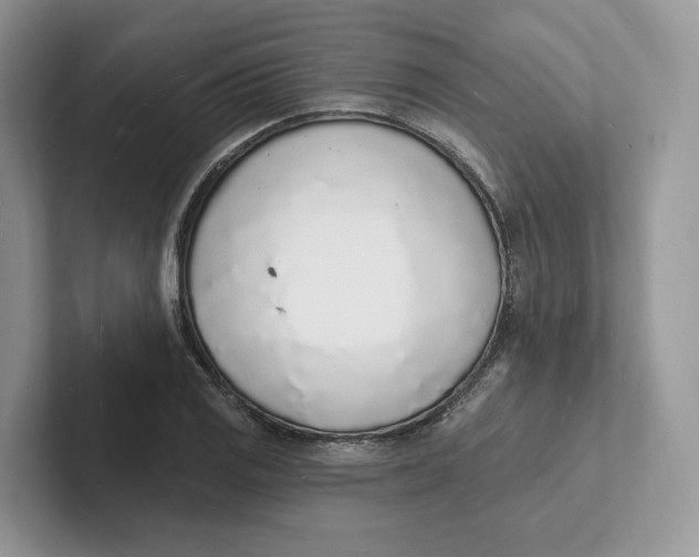 X0000101691125200807311406