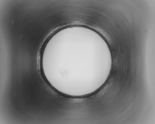 X0000101691126200807311406