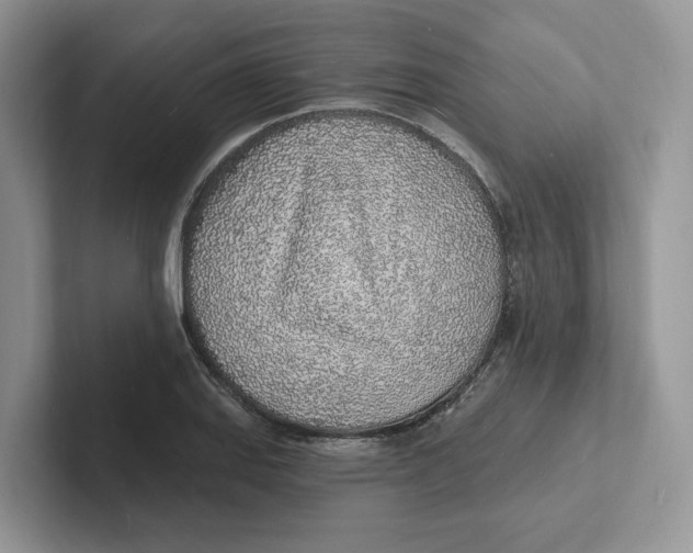 X0000101691127200807311406