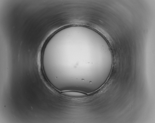 X0000101691128200807311406