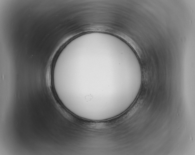 X0000101691131200807311406