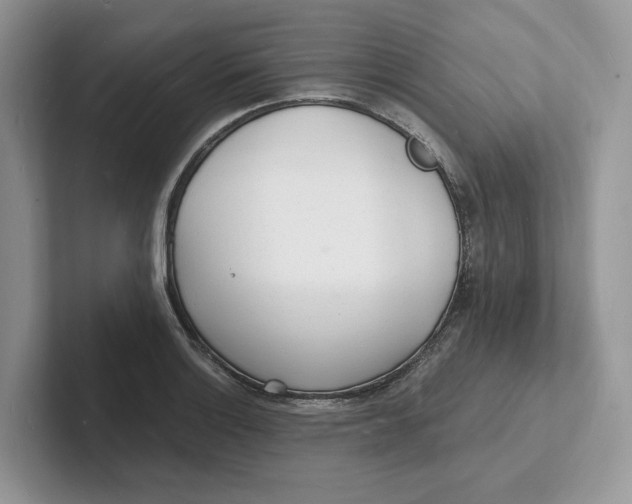 X0000101691132200807311406